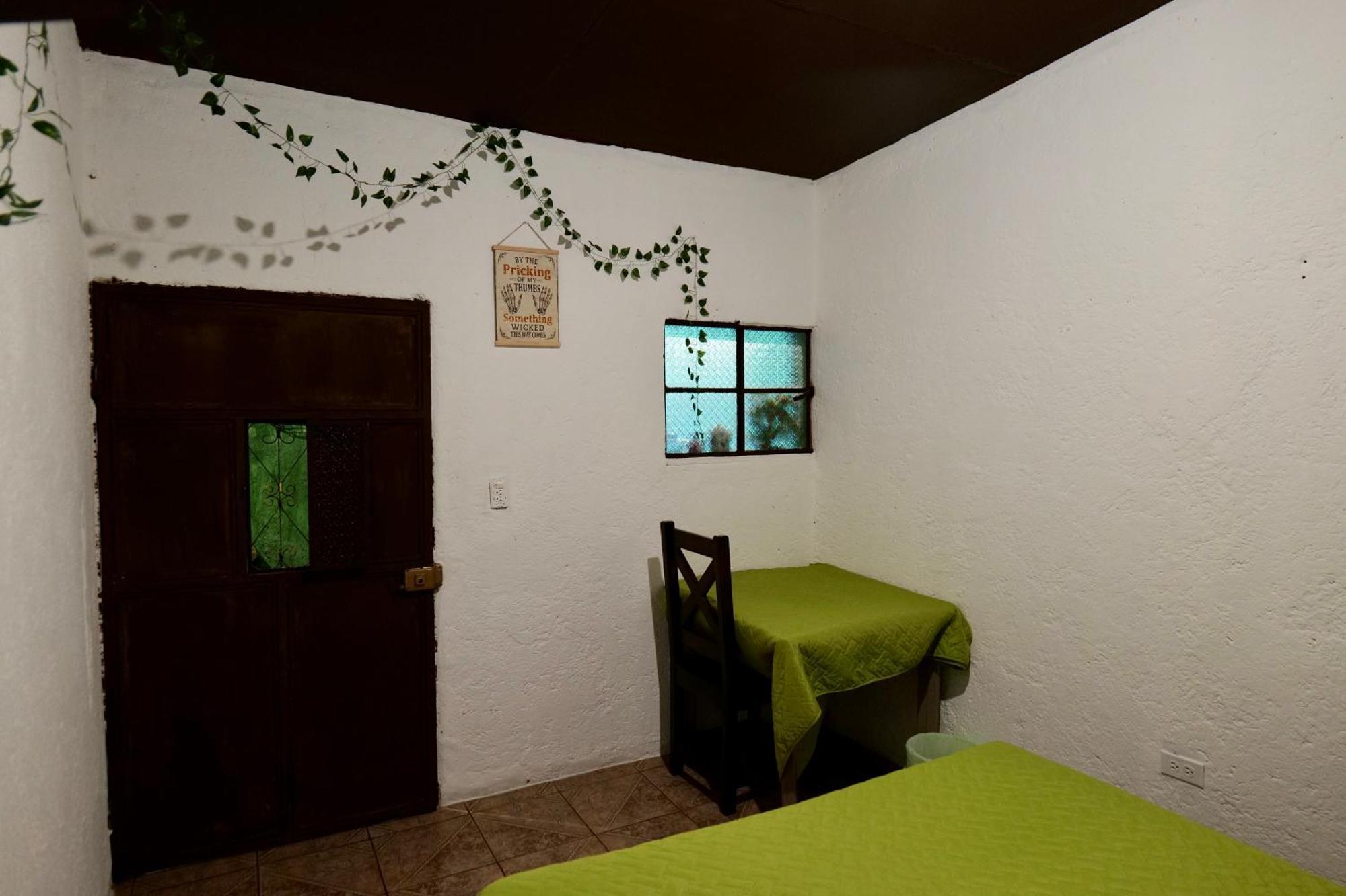 Wonderland Hostel Antigua Eksteriør billede